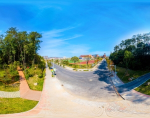 白天城市生态绿化全景HDR-ID:917104965