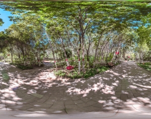 白天城市生态公园全景HDR-ID:105598935