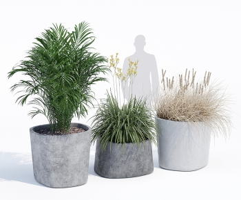 Wabi-sabi Style Ground Green Plant Potted Plants-ID:238029006