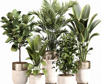 Modern Ground Green Plant Potted Plants-ID:731028086