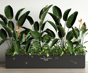 现代景观植物 移动花箱3D模型