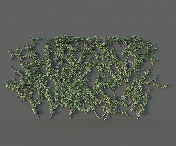 现代藤蔓绿植3D模型