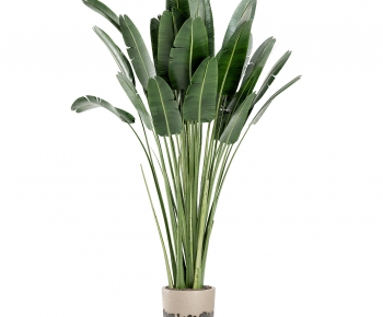 Modern Ground Green Plant Potted Plants-ID:961802019