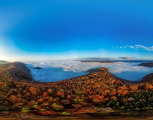 森林云海全景HDR-ID:252574927