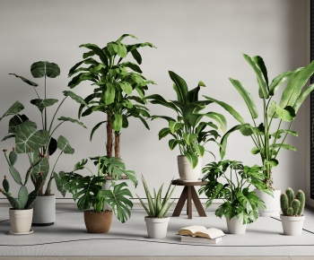 Modern Ground Green Plant Potted Plants-ID:299185048