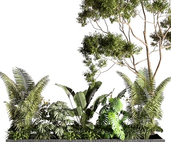 现代灌木绿植 景观树3D模型