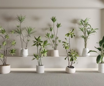 Modern Ground Green Plant Potted Plants-ID:796679976