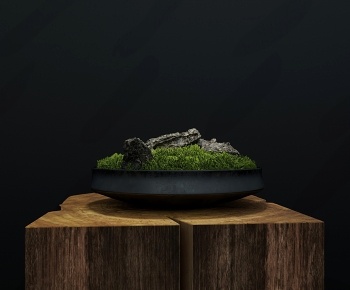 现代苔藓盆景3D模型