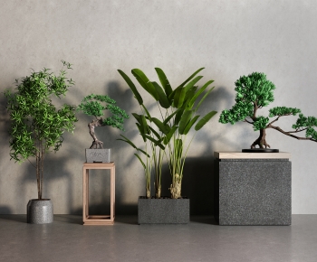 Modern Ground Green Plant Potted Plants-ID:659853944