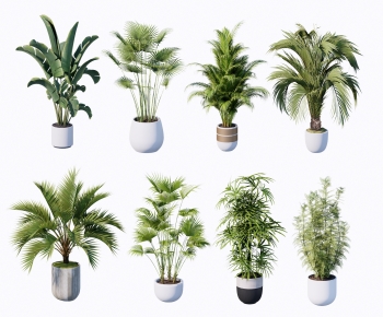 Modern Ground Green Plant Potted Plants-ID:275120972