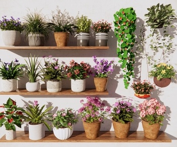 现代绿植盆栽 花卉攀爬植物3D模型