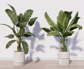 Modern Ground Green Plant Potted Plants-ID:618973974