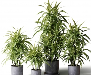 Modern Ground Green Plant Potted Plants-ID:694879065