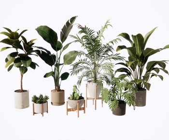 Modern Ground Green Plant Potted Plants-ID:876128919