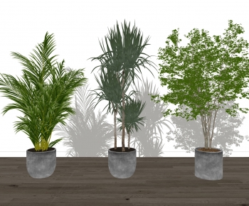 Modern Ground Green Plant Potted Plants-ID:416989398