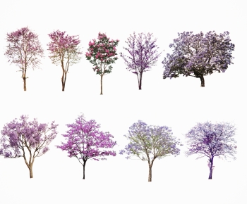 现代景观色叶树 紫荆海棠-ID:420293092