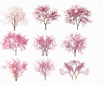 现代景观色叶树 紫薇樱花-ID:101010873