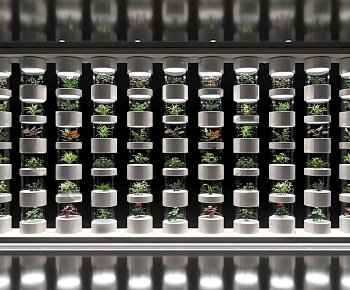 现代植物标本墙饰 绿植屏风3D模型