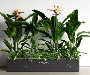 现代花箱 芭蕉绿植盆栽3D模型