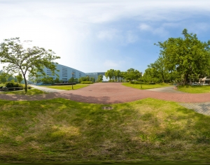 HDR绿茵树林生态公园全景-ID:202771906