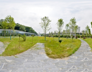 HDR绿茵树林生态公园全景-ID:453528889