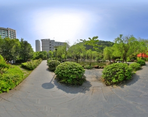 HDR绿茵树林生态公园全景-ID:458663942