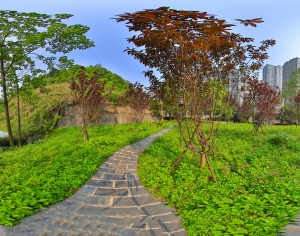 HDR绿茵树林生态公园全景-ID:404908908