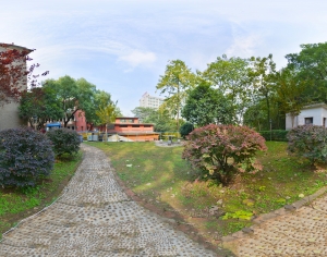 HDR绿茵树林生态公园全景-ID:868427994