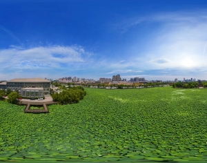 城市河畔生态公园全景HDR-ID:176120046