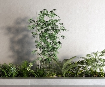 现代竹子 绿植灌木3D模型