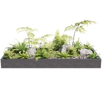 现代蕨类植物盆栽 花坛3D模型