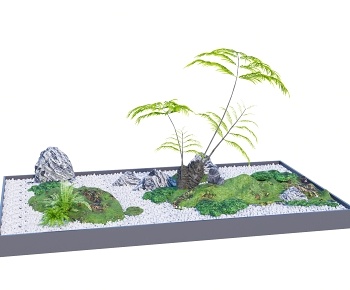 现代蕨类植物盆栽地被景观3D模型
