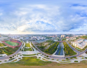 HDR白天城市生态绿化全景-ID:657020094