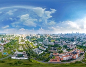 HDR白天城市生态绿化全景-ID:5955260