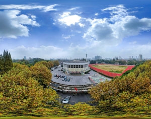 HDR白天城市生态绿化全景-ID:517405994