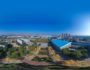 HDR白天城市生态绿化全景-ID:614892014