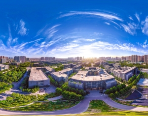 HDR白天城市生态绿化全景-ID:239645001