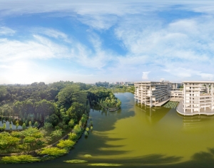 白天城市绿化河流全景HDR-ID:191776991