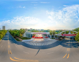 HDR城市小区社区广场绿化-ID:290519957