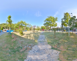 HDR城市小区社区广场绿化-ID:597716099