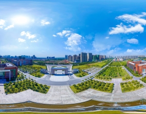 HDR城市小区社区广场绿化-ID:544284113