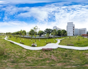 HDR城市小区社区广场绿化-ID:263494014