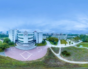 HDR城市小区社区广场绿化-ID:311176064