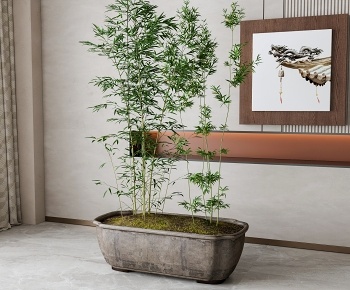新中式竹子绿植盆栽 花坛3D模型