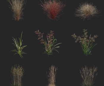 Modern Flowers And Grass-ID:813205002