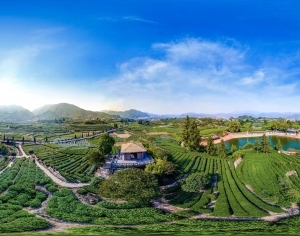 HDR乡村田野户外风景全景-ID:5962157