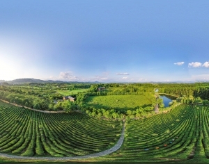 HDR乡村田野户外风景全景-ID:5962176