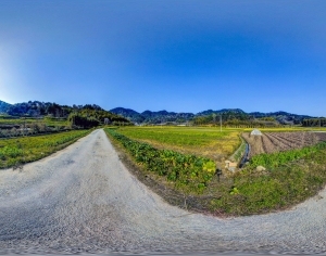 HDR乡村田野户外风景全景-ID:5962180