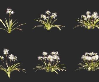 Modern Flowers And Grass-ID:420211089