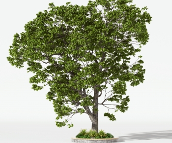 Modern Tree-ID:177405129